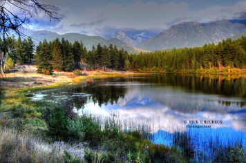 The Pond